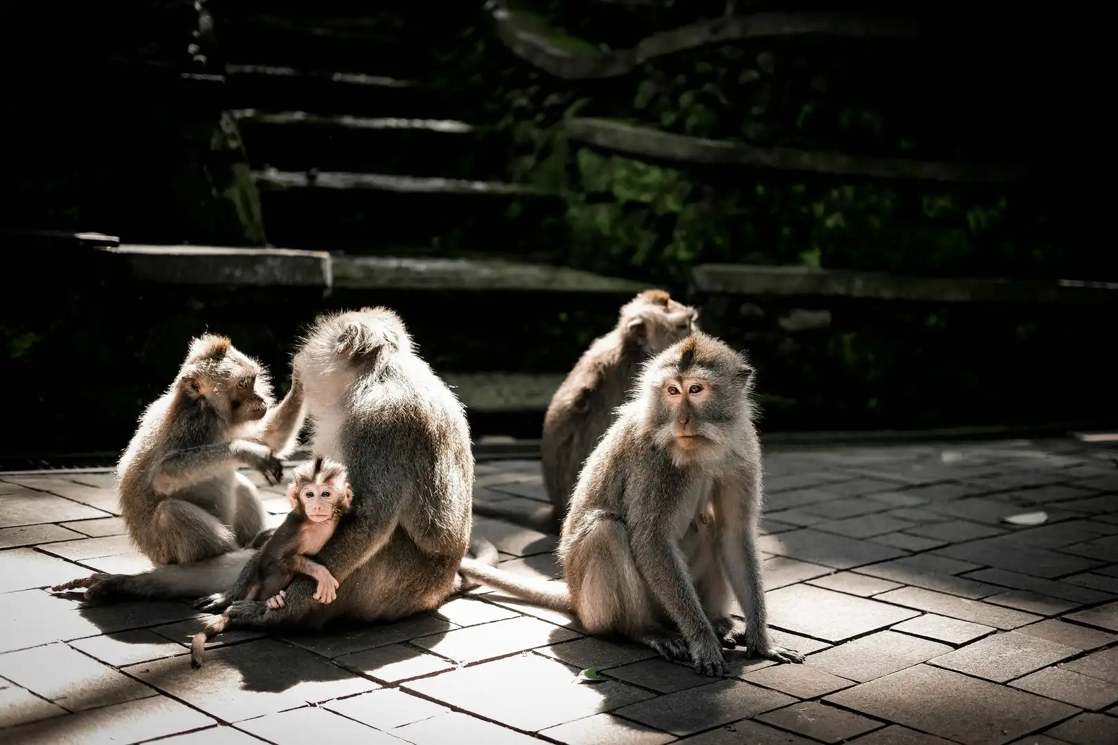 Ubud Art & Culture Tour